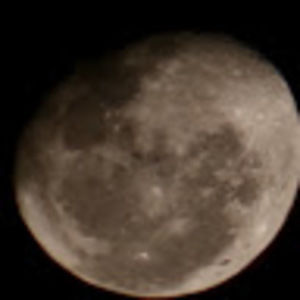 Meet your Posher, Zach